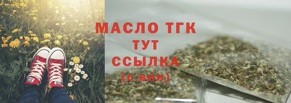 дживик Каменка