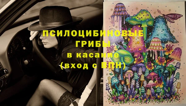 дживик Каменка
