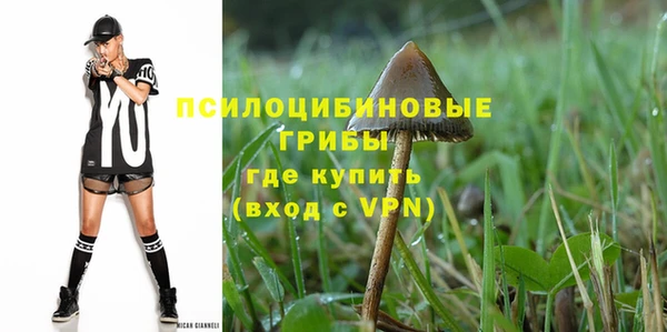 дживик Каменка