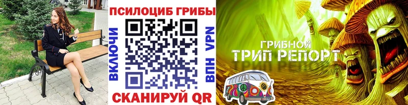Купить где  Белокуриха  Псилоцибиновые грибы MAGIC MUSHROOMS 